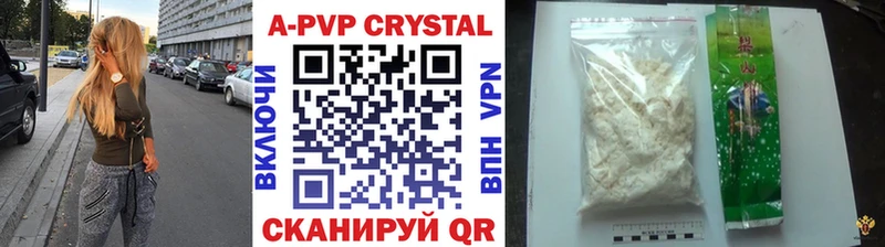 mega сайт  Жиздра  A PVP СК 