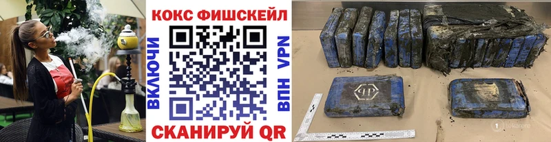 COCAIN Fish Scale купить наркотики сайты Жиздра