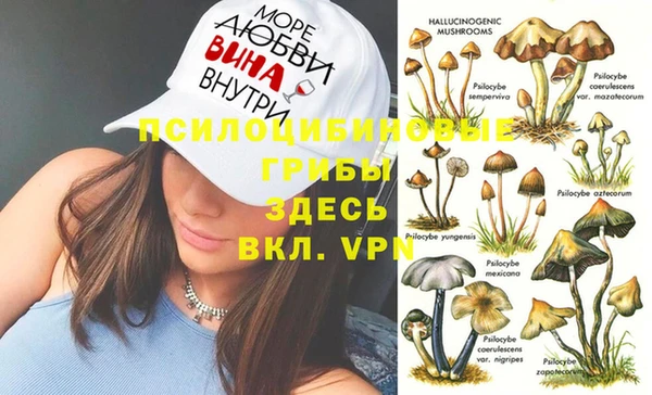 стаф Алексеевка