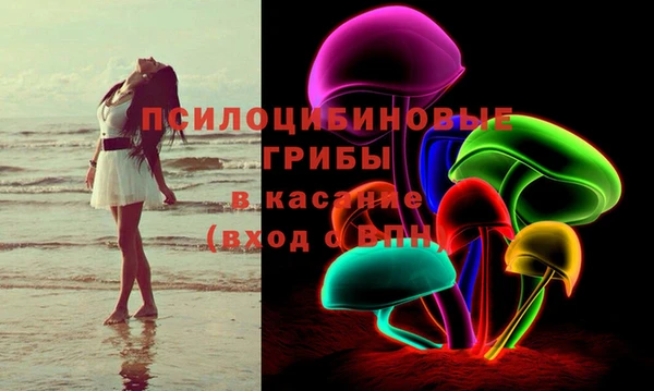 стаф Алексеевка