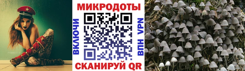 Псилоцибиновые грибы Cubensis  купить наркоту  дарк нет телеграм  Жиздра 