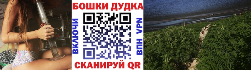 Конопля Ganja  Жиздра 